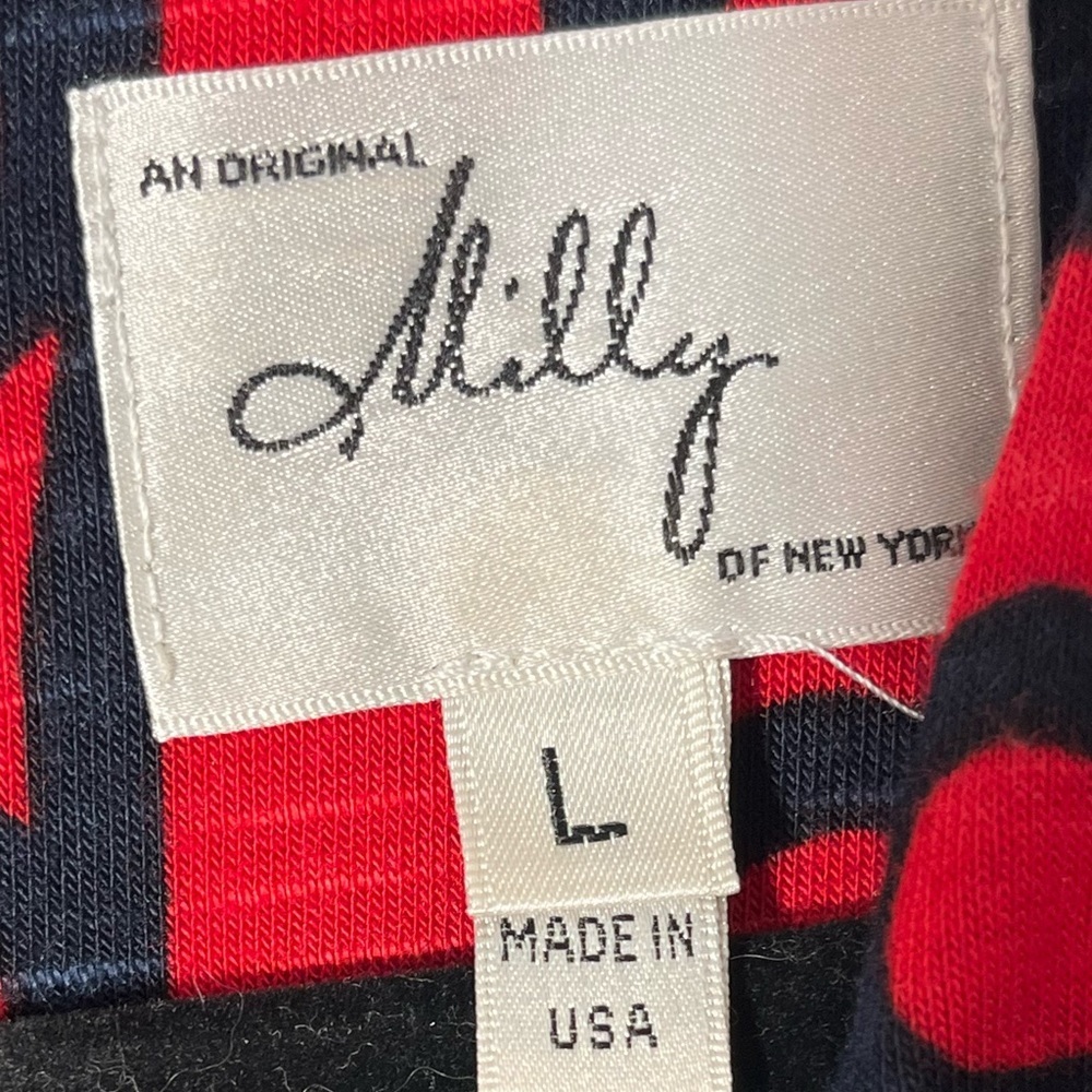 Milly Red and Blue Print Sleeveless Maxi Dress | Size L - Picture 5 of 11